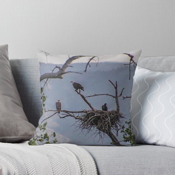Item preview, Bald Eagle Family  designed and sold by LisaMPierce1990.