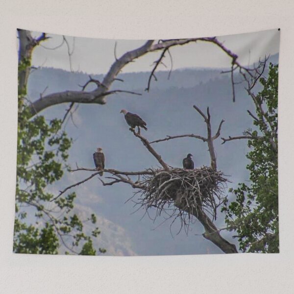 Item preview, Bald Eagle Family  designed and sold by LisaMPierce1990.