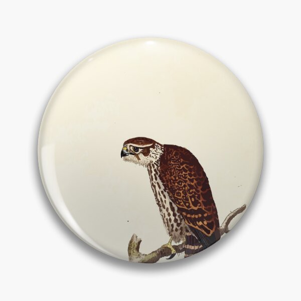Item preview, British ornithology  being the history with a coloured representation of every known species of British birds George Graves 1821 051 designed and sold by WetdryvacRB01.