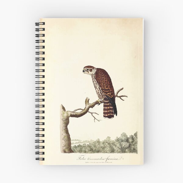 Item preview, British ornithology  being the history with a coloured representation of every known species of British birds George Graves 1821 051 designed and sold by WetdryvacRB01.