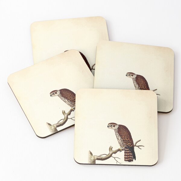 Item preview, British ornithology  being the history with a coloured representation of every known species of British birds George Graves 1821 051 designed and sold by WetdryvacRB01.