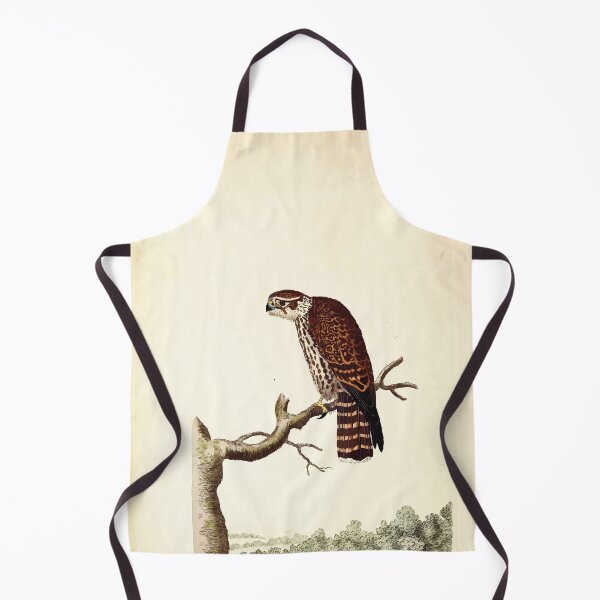 Item preview, British ornithology  being the history with a coloured representation of every known species of British birds George Graves 1821 051 designed and sold by WetdryvacRB01.