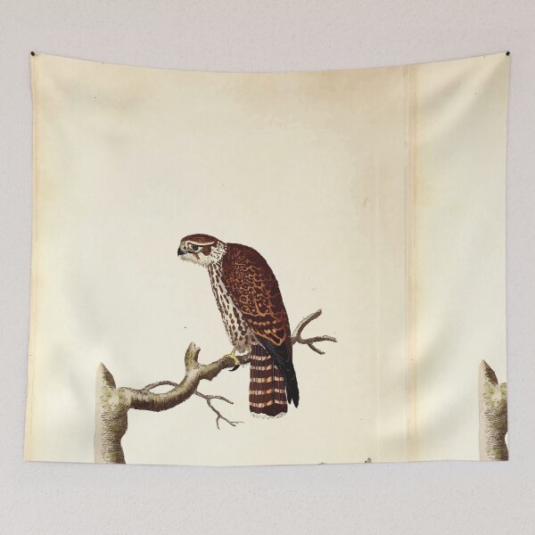 Item preview, British ornithology  being the history with a coloured representation of every known species of British birds George Graves 1821 051 designed and sold by WetdryvacRB01.