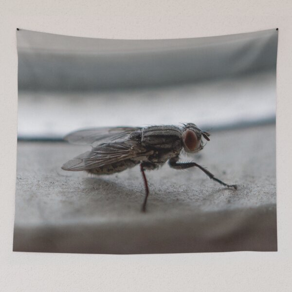 Item preview, Close up portrait of fly designed and sold by brambillasimone.