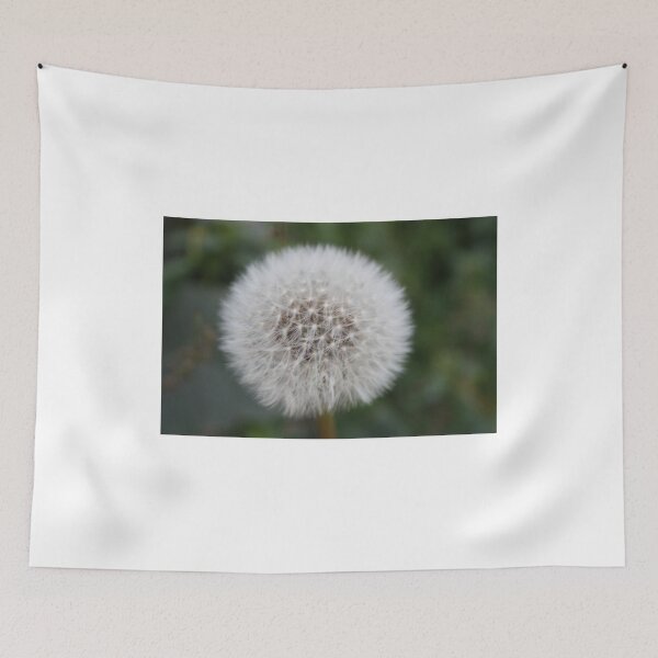 Item preview, tenuous delicate dandelion flower in a field designed and sold by alessiapenny.