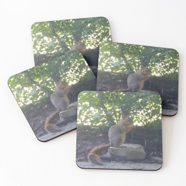 Item preview, Squirrel Friend designed and sold by NathanMoore92.