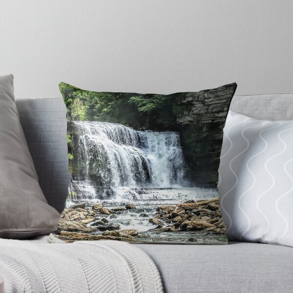 Aperçu de l'œuvre Cummins State Park Falls créée et vendue par Rayven Collins.