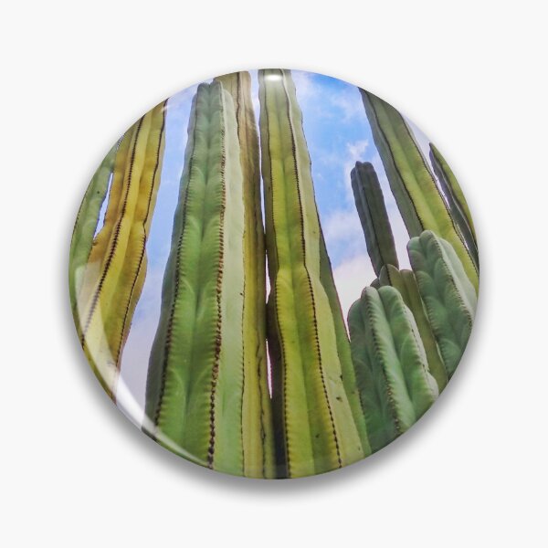 Item preview, Mexican cacti designed and sold by mexicocassie.