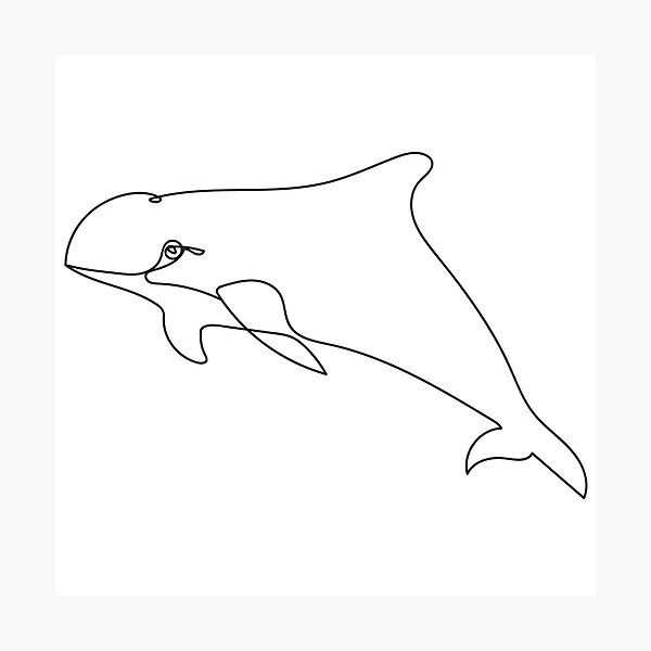 Recolectar 93+ imagen dibujos de la vaquita marina Thptletrongtan.edu.vn
