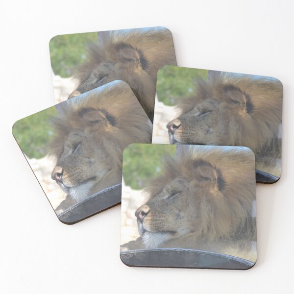 Item preview, African Lion designed and sold by akdcash.