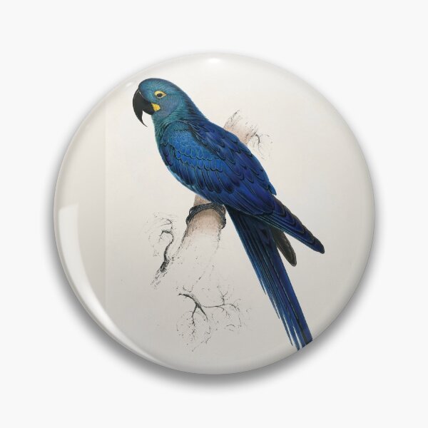 Item preview, Lear’s Macaw by Edward Lear designed and sold by Amanda1775.