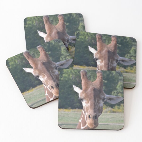 Item preview, Reticulated giraffe designed and sold by akdcash.