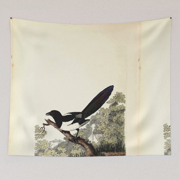 Item preview, British ornithology  being the history with a coloured representation of every known species of British birds George Graves 1821 056 designed and sold by WetdryvacRB01.