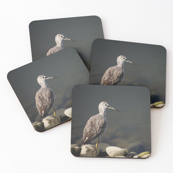 Item preview, Sandpiper designed and sold by Tim Friesen.