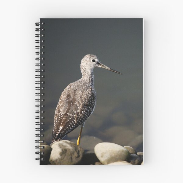 Item preview, Sandpiper designed and sold by Tim Friesen.