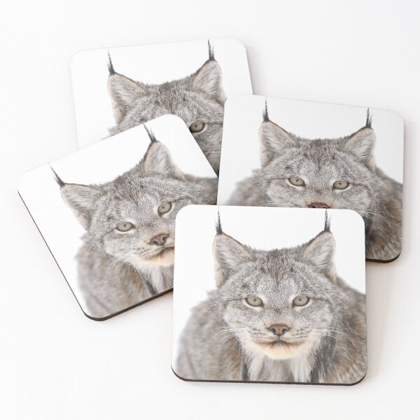 Item preview, Canada Lynx designed and sold by mlorenz.