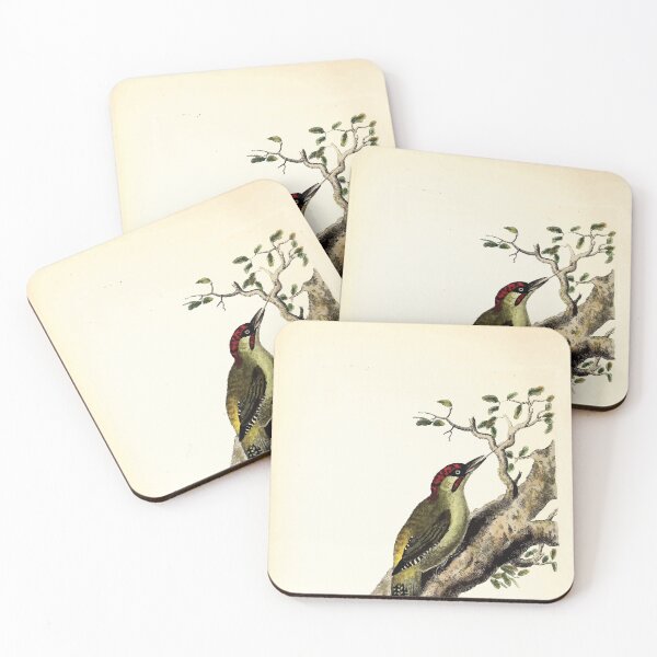 Item preview, British ornithology  being the history with a coloured representation of every known species of British birds George Graves 1821 057 designed and sold by WetdryvacRB01.