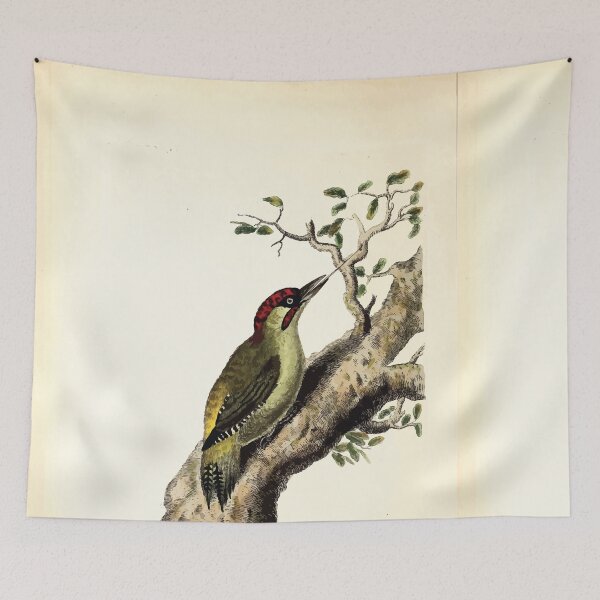 Item preview, British ornithology  being the history with a coloured representation of every known species of British birds George Graves 1821 057 designed and sold by WetdryvacRB01.