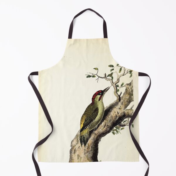 Item preview, British ornithology being the history with a coloured representation of every known species of British birds George Graves 1821 057 designed and sold by WetdryvacRB01.