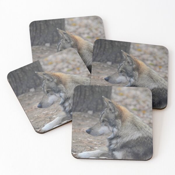 Item preview, Mexican Gray Wolf designed and sold by akdcash.
