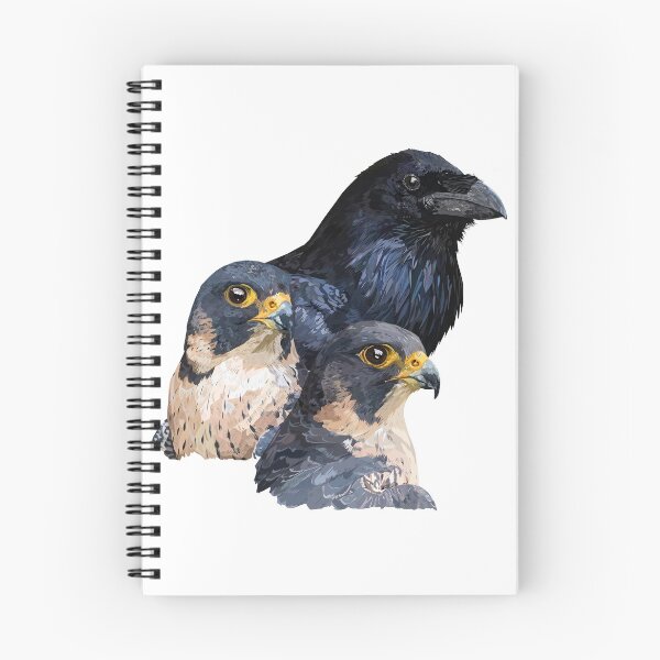Item preview, Raven and Falcons designed and sold by obscurite.
