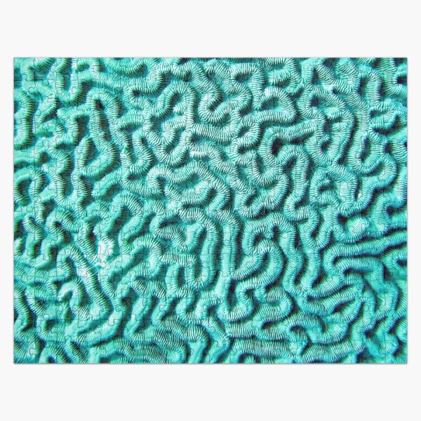 Watercolor Sealife, Brain Coral 01, Bonaire, Dutch West Indies Jigsaw Puzzle