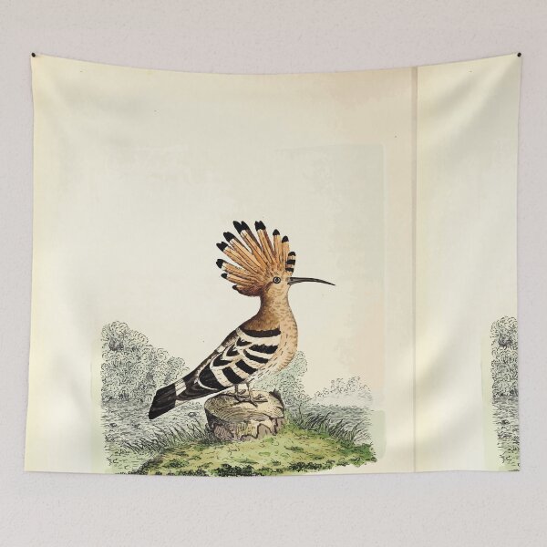 Item preview, British ornithology  being the history with a coloured representation of every known species of British birds George Graves 1821 060 designed and sold by WetdryvacRB01.