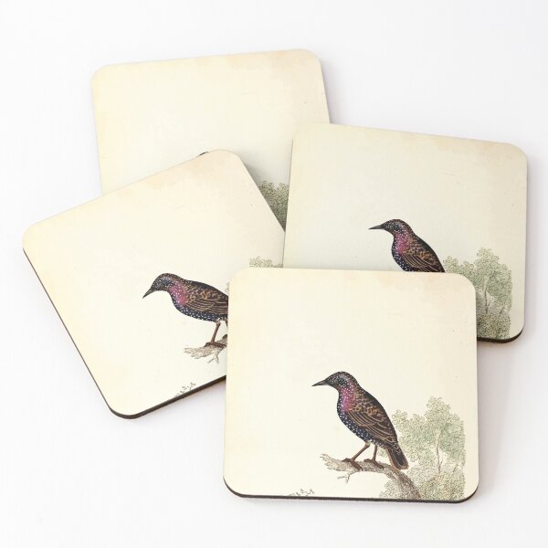 Item preview, British ornithology  being the history with a coloured representation of every known species of British birds George Graves 1821 062 designed and sold by WetdryvacRB01.