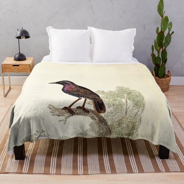 Item preview, British ornithology being the history with a coloured representation of every known species of British birds George Graves 1821 062 designed and sold by WetdryvacRB01.