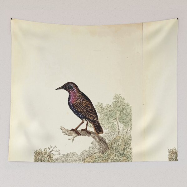 Item preview, British ornithology  being the history with a coloured representation of every known species of British birds George Graves 1821 062 designed and sold by WetdryvacRB01.