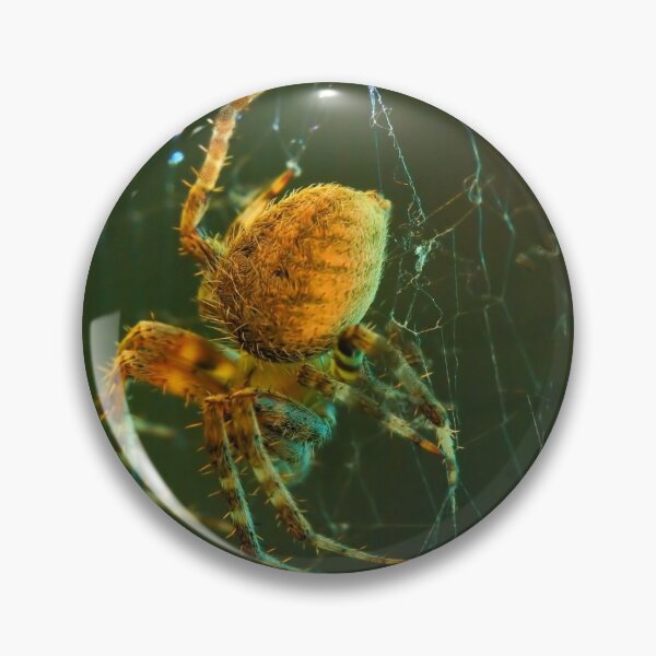 Artikelvorschau, Orb-weaver spider entworfen und verkauft von JohnDSmith.