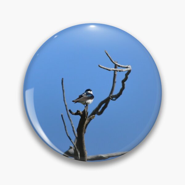 Item preview, Tree Swallow in a Blue Sky designed and sold by regalviolet.