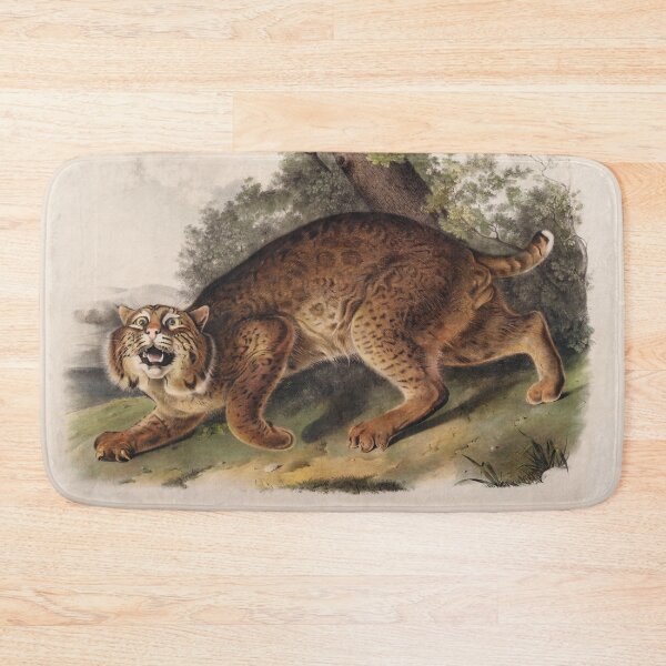 Item preview, American Wildcat, Lynx by J.J. Audubon 1842 designed and sold by ebrawne.
