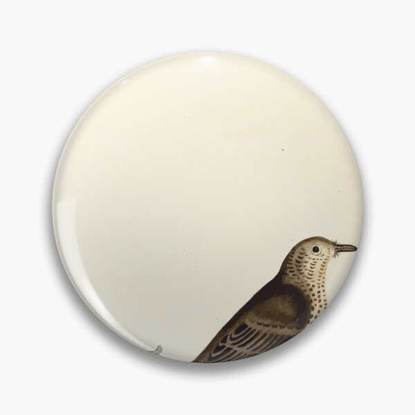 Item preview, British ornithology  being the history with a coloured representation of every known species of British birds George Graves 1821 063 designed and sold by WetdryvacRB01.
