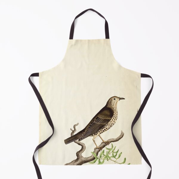 Item preview, British ornithology  being the history with a coloured representation of every known species of British birds George Graves 1821 063 designed and sold by WetdryvacRB01.