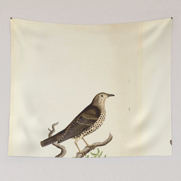 Item preview, British ornithology  being the history with a coloured representation of every known species of British birds George Graves 1821 063 designed and sold by WetdryvacRB01.