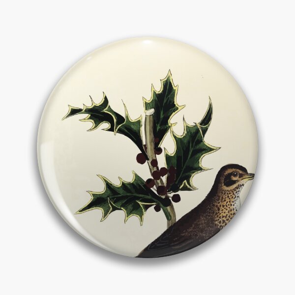 Item preview, British ornithology  being the history with a coloured representation of every known species of British birds George Graves 1821 064 designed and sold by WetdryvacRB01.