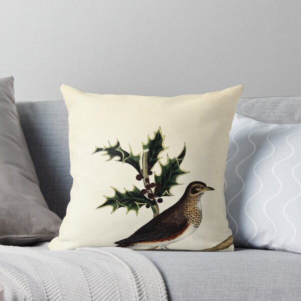 Item preview, British ornithology  being the history with a coloured representation of every known species of British birds George Graves 1821 064 designed and sold by WetdryvacRB01.