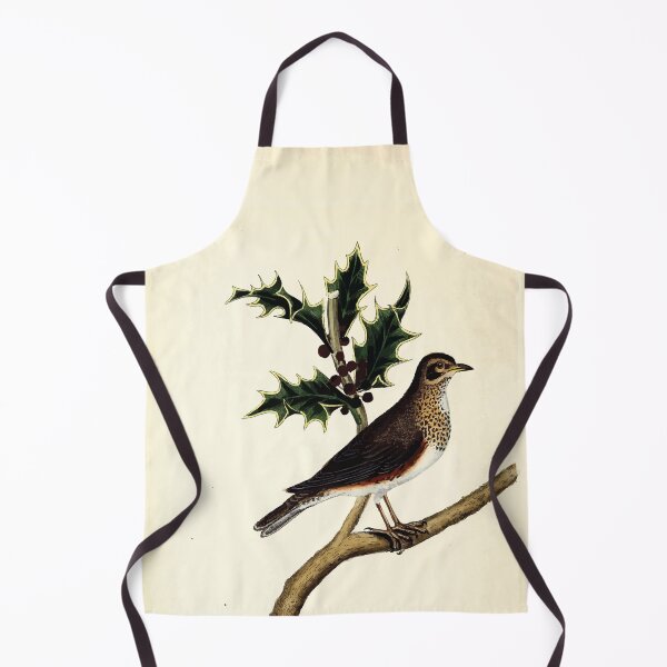 Item preview, British ornithology  being the history with a coloured representation of every known species of British birds George Graves 1821 064 designed and sold by WetdryvacRB01.