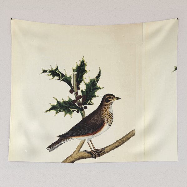 Item preview, British ornithology  being the history with a coloured representation of every known species of British birds George Graves 1821 064 designed and sold by WetdryvacRB01.