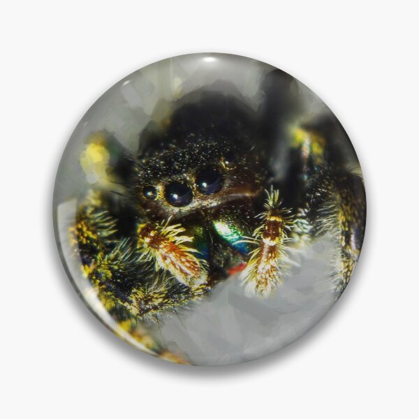 Item preview, Jumpy Spider - Paint designed and sold by hk2001.