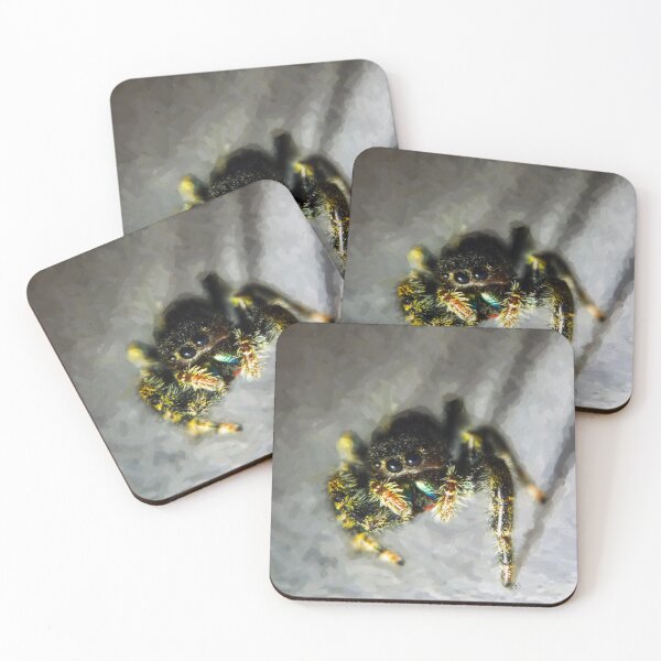 Item preview, Jumpy Spider - Paint designed and sold by hk2001.