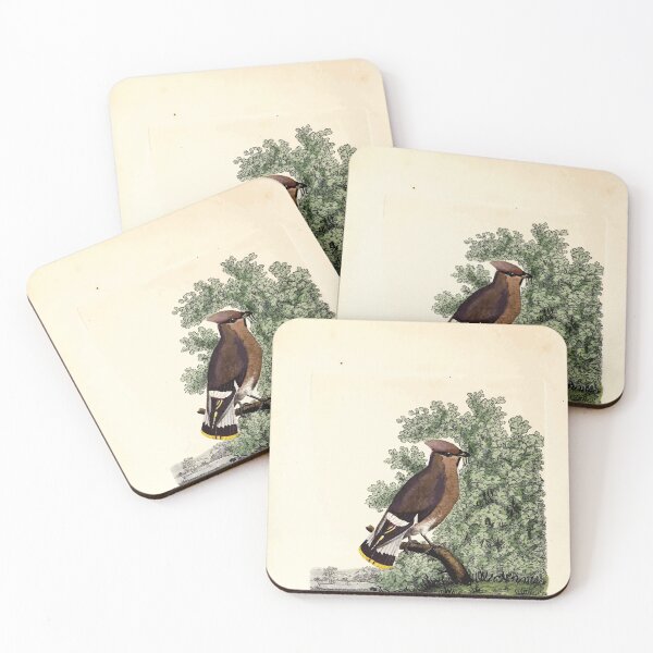 Item preview, British ornithology  being the history with a coloured representation of every known species of British birds George Graves 1821 065 designed and sold by WetdryvacRB01.