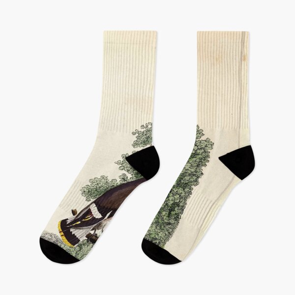 Item preview, British ornithology  being the history with a coloured representation of every known species of British birds George Graves 1821 065 designed and sold by WetdryvacRB01.