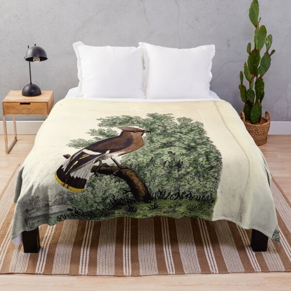 Item preview, British ornithology being the history with a coloured representation of every known species of British birds George Graves 1821 065 designed and sold by WetdryvacRB01.