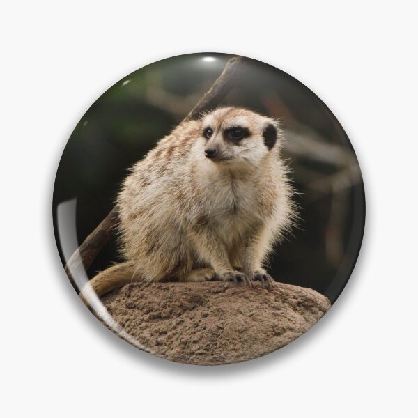 Item preview, Meerkat designed and sold by heyiitshaleyy.
