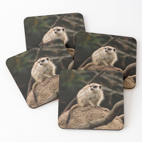 Item preview, Meerkat designed and sold by heyiitshaleyy.