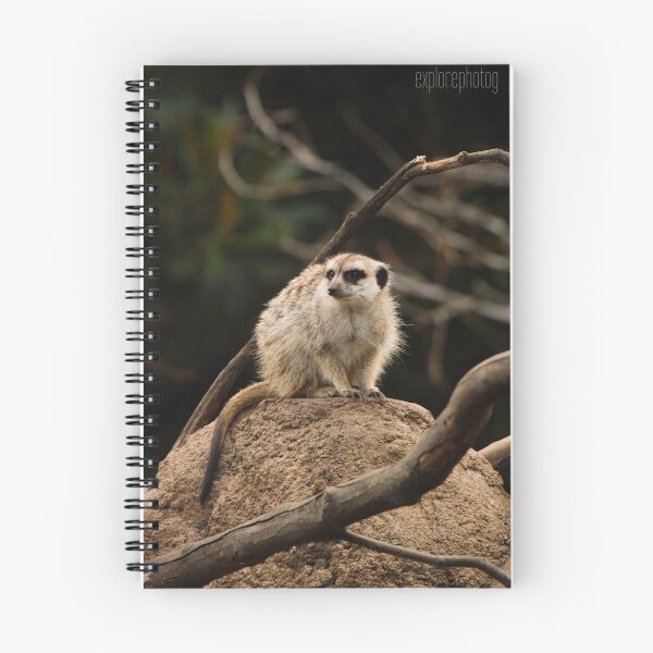 Item preview, Meerkat designed and sold by heyiitshaleyy.