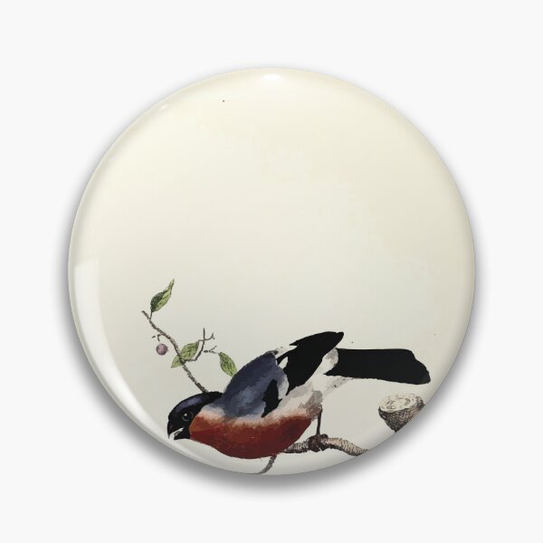 Item preview, British ornithology  being the history with a coloured representation of every known species of British birds George Graves 1821 066 designed and sold by WetdryvacRB01.