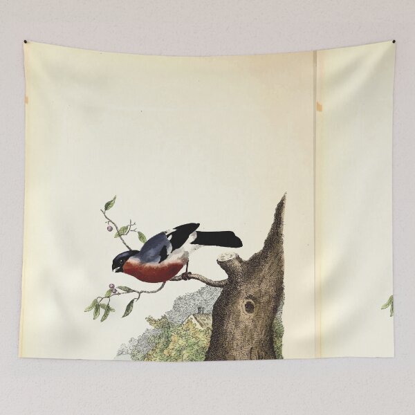 Item preview, British ornithology  being the history with a coloured representation of every known species of British birds George Graves 1821 066 designed and sold by WetdryvacRB01.